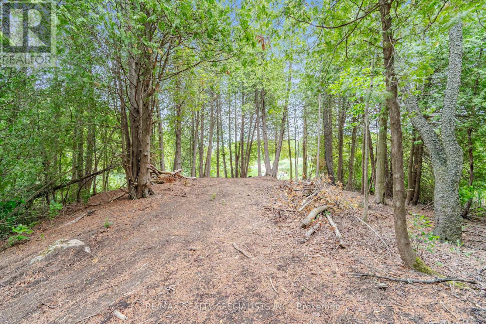 16735 Shaws Creek Road, Caledon, Ontario  L7K 1K9 - Photo 40 - W13804054