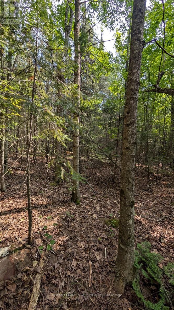 Lot 1 On-17 / Trans Canada Highway, Plummer Additional, Ontario  P0R 1C0 - Photo 5 - X13804170