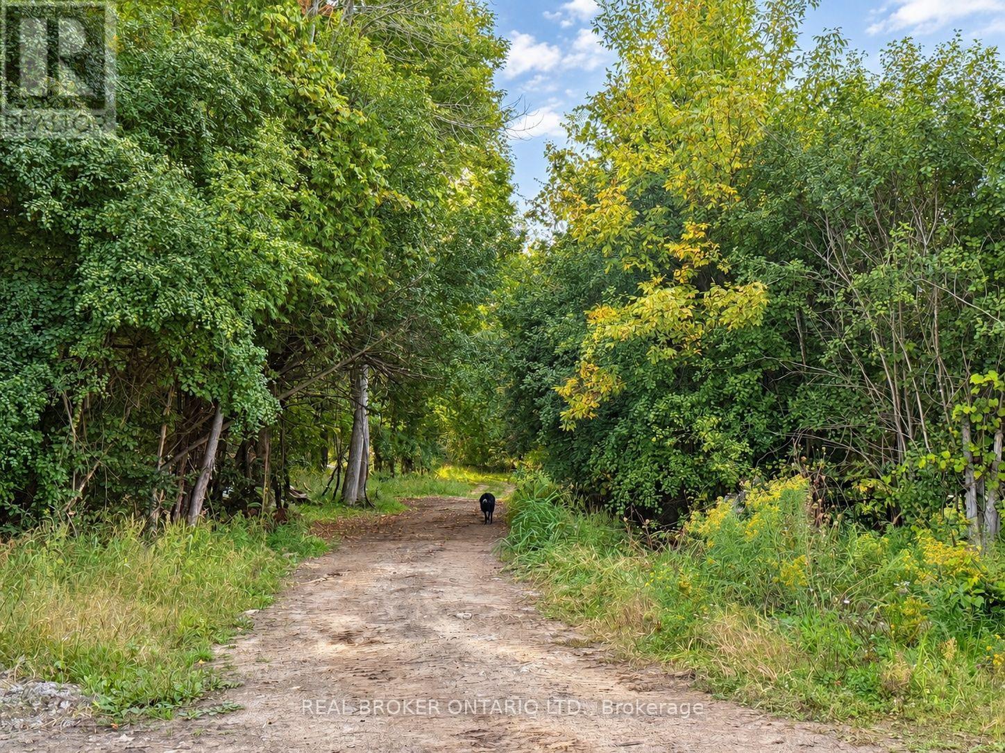 806 Richardson Road, Montague, Ontario  K0G 1N0 - Photo 41 - X13804590