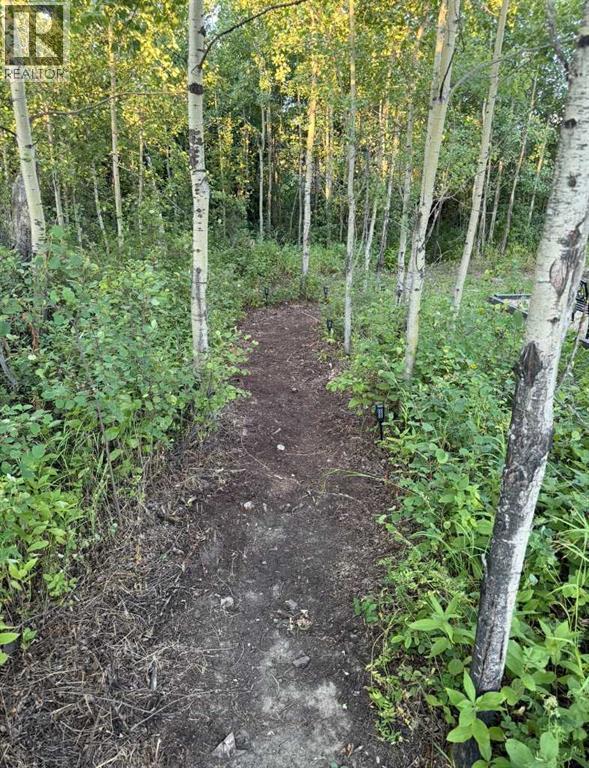 743046 Range Road 41 Range, Rural Grande Prairie No. 1, Alberta  T0H 3C0 - Photo 34 - A2341675