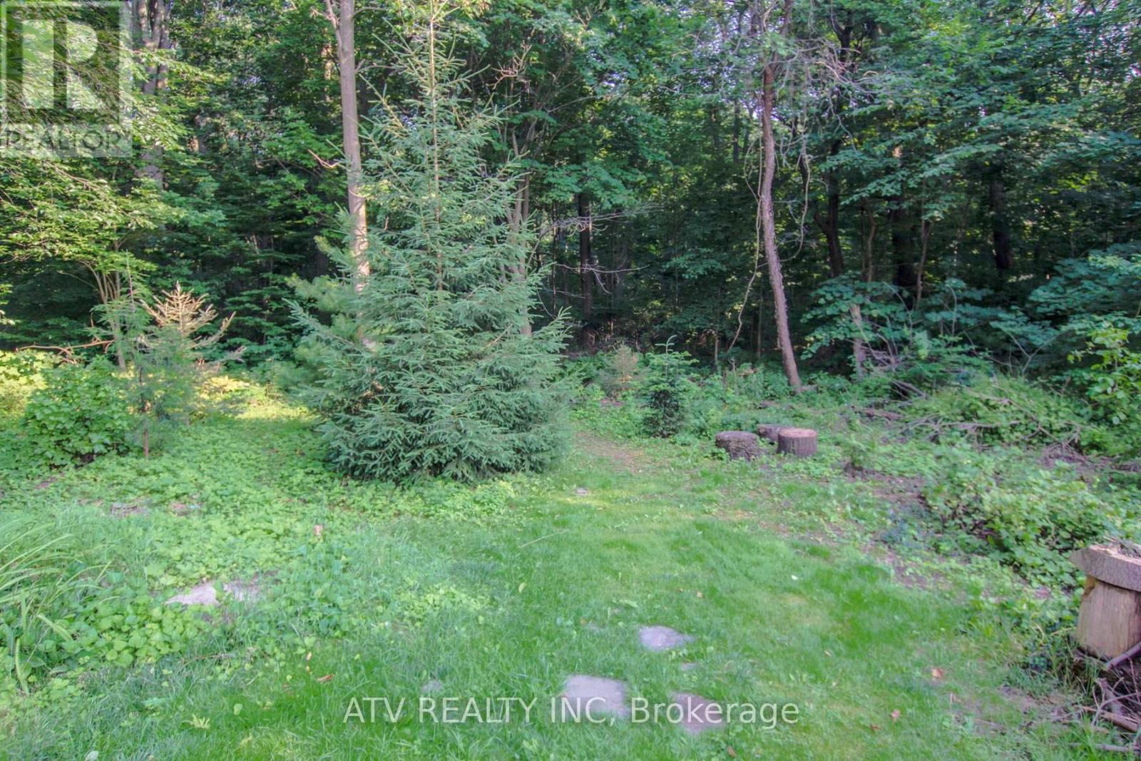 235 Saint Marks Road, Toronto, Ontario  M6S 2J1 - Photo 15 - W13804706