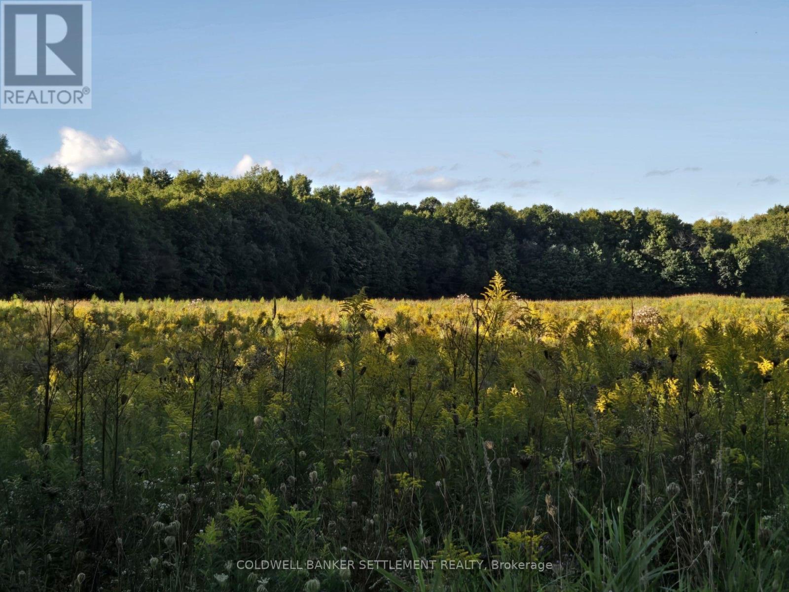Lot 2 Bush Road, Rideau Lakes, Ontario K0G 1E0 - Photo 4 - X13804752