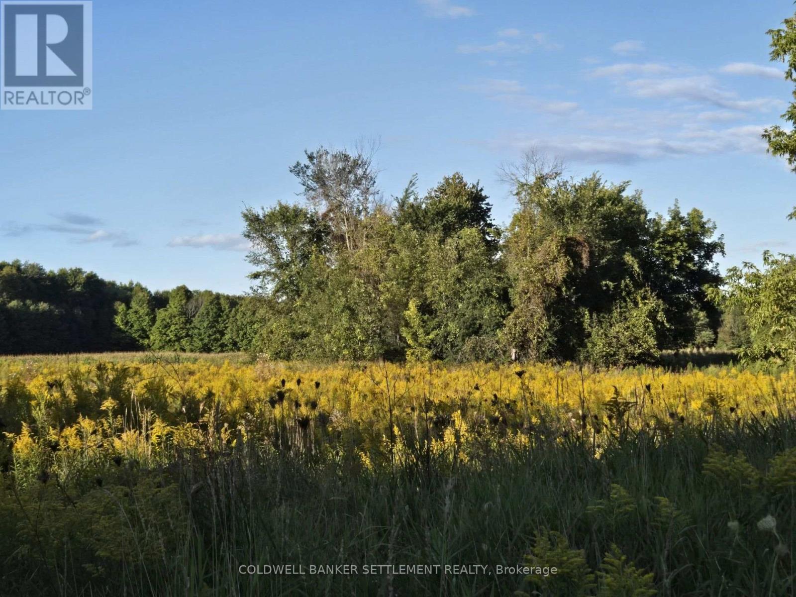 Lot 3 Bush Road, Rideau Lakes, Ontario K0G 1E0 - Photo 3 - X13804782