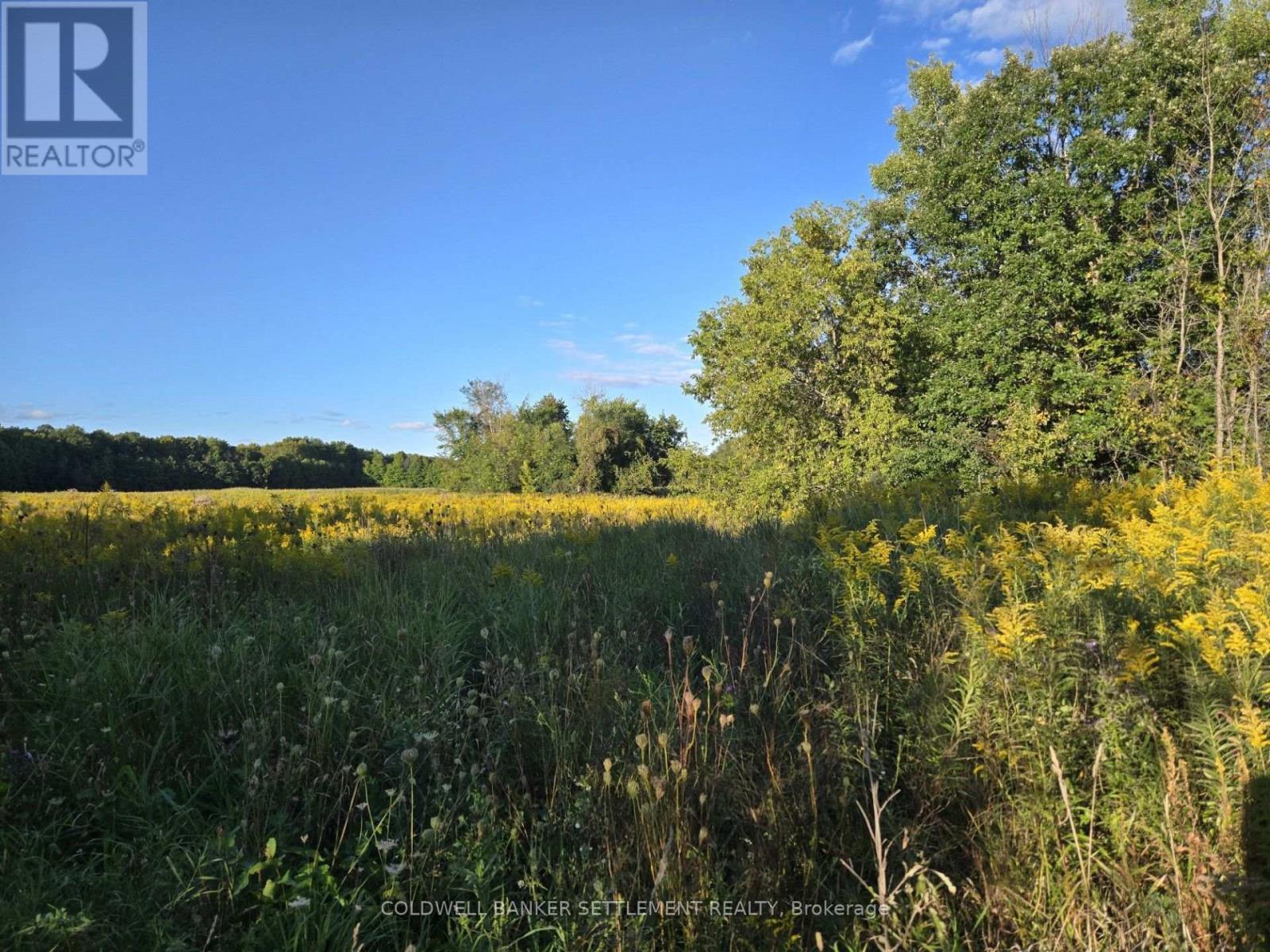 Lot 3 Bush Road, Rideau Lakes, Ontario K0G 1E0 - Photo 4 - X13804782