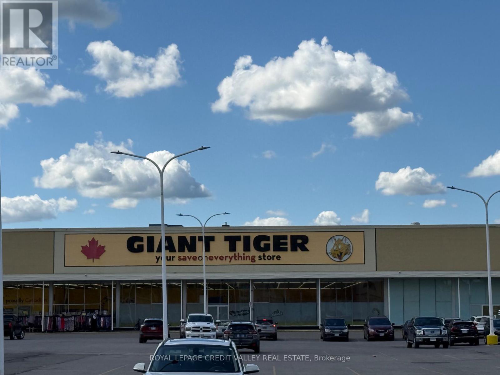 200 Fitch Street, Welland, Ontario  L3C 4V9 - Photo 30 - X13804890
