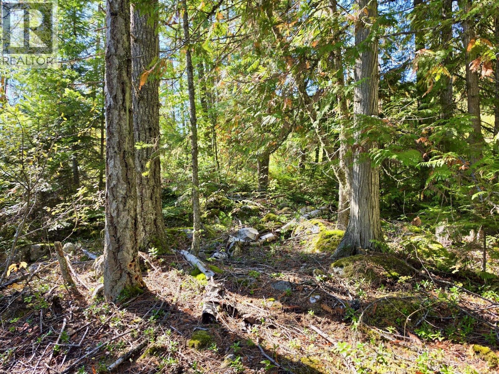 Lots A & B Kane Road, Nelson, British Columbia  V1L 6S9 - Photo 3 - 10401323