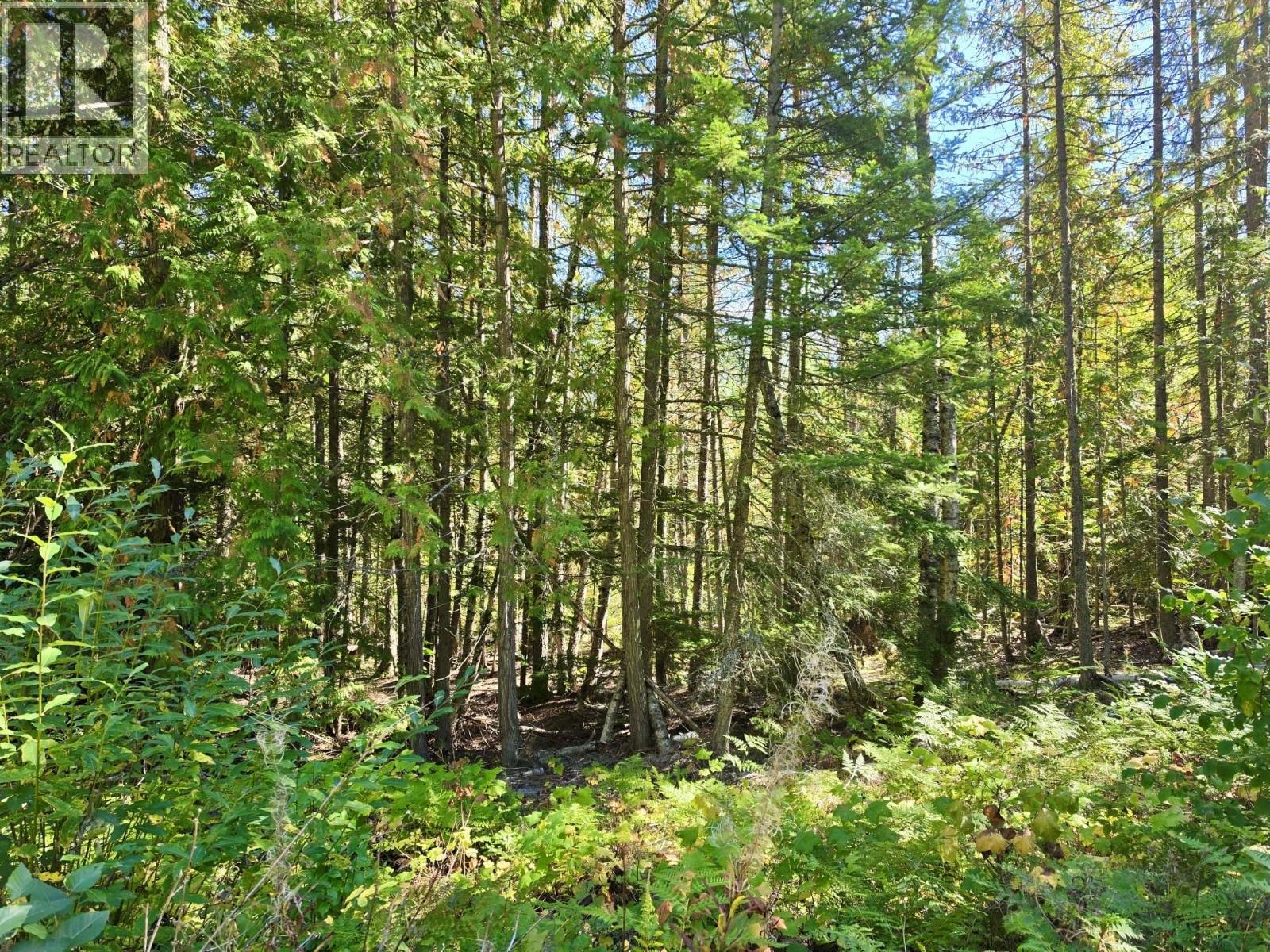 Lots A & B Kane Road, Nelson, British Columbia  V1L 6S9 - Photo 6 - 10401323