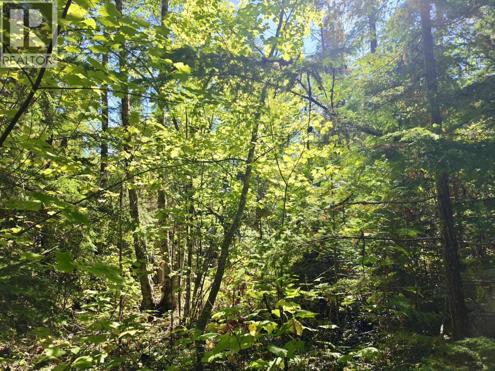 Lots A & B Kane Road, Nelson, British Columbia  V1L 6S9 - Photo 8 - 10401323