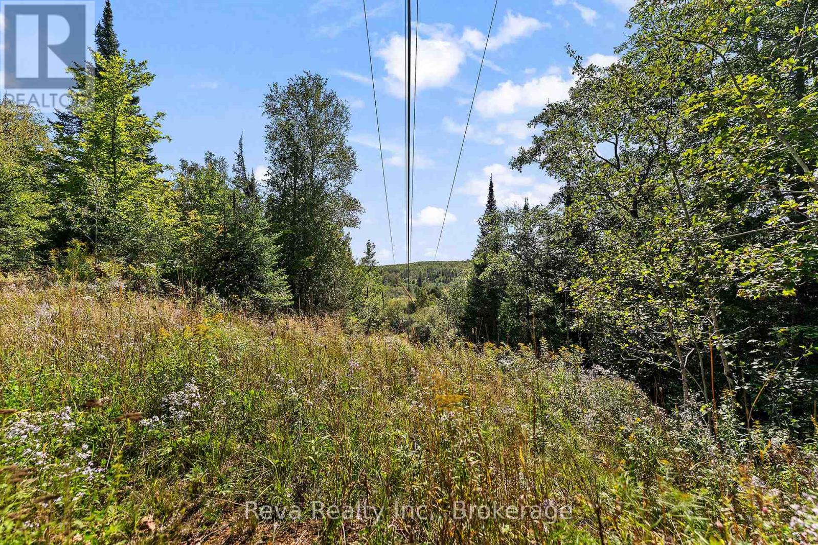 834 Hybla Road, Hastings Highlands, Ontario  K0L 1C0 - Photo 29 - X13805086