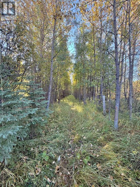 18509 Twp Rd 521a, Rural Yellowhead County, Alberta  T0E 1X0 - Photo 3 - A2346657