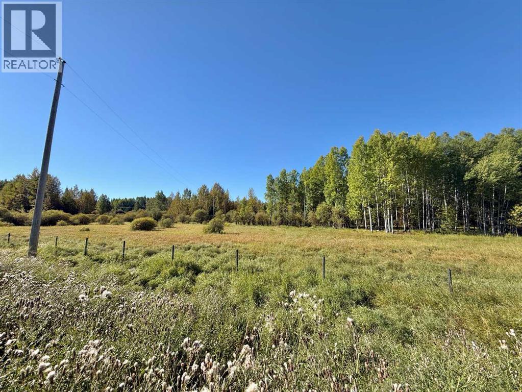 18509 Twp Rd 521a, Rural Yellowhead County, Alberta  T0E 1X0 - Photo 7 - A2346657