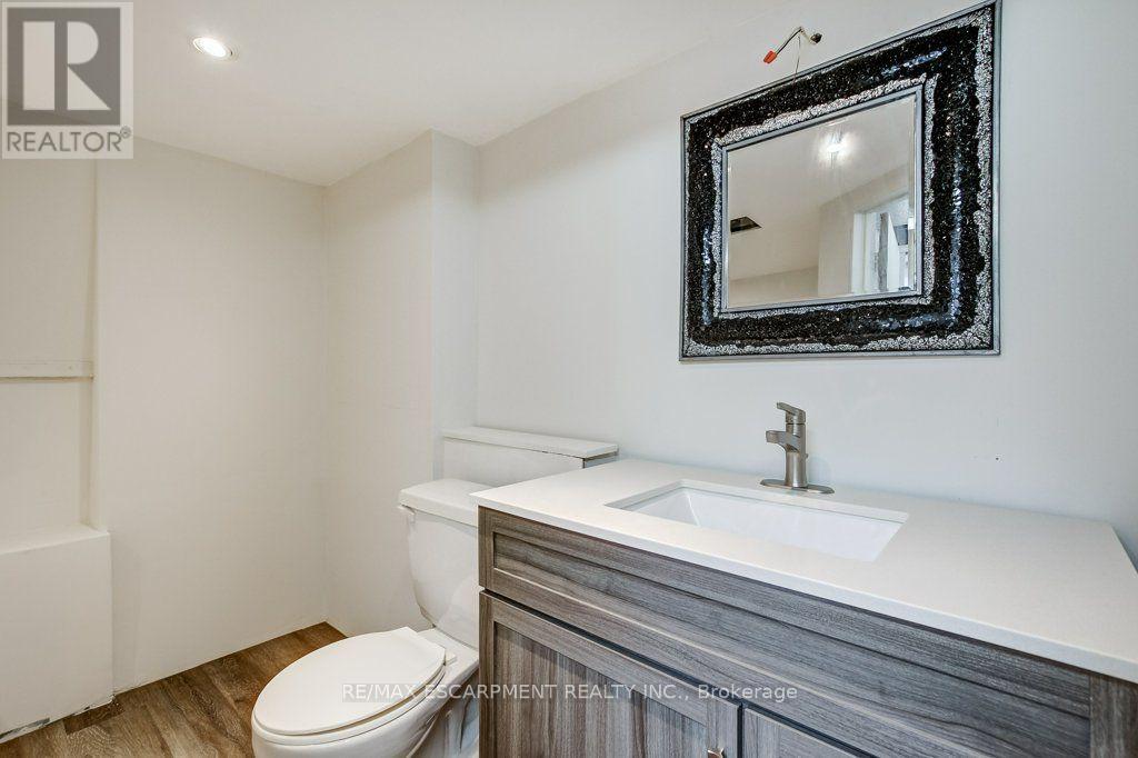 56 Barton Street, Hamilton, Ontario  L0R 2H0 - Photo 20 - X13805078