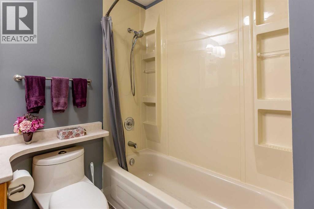 157 Rispler Way, Hinton, Alberta  T7V 1L7 - Photo 17 - A2346481