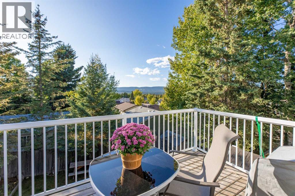 157 Rispler Way, Hinton, Alberta  T7V 1L7 - Photo 33 - A2346481