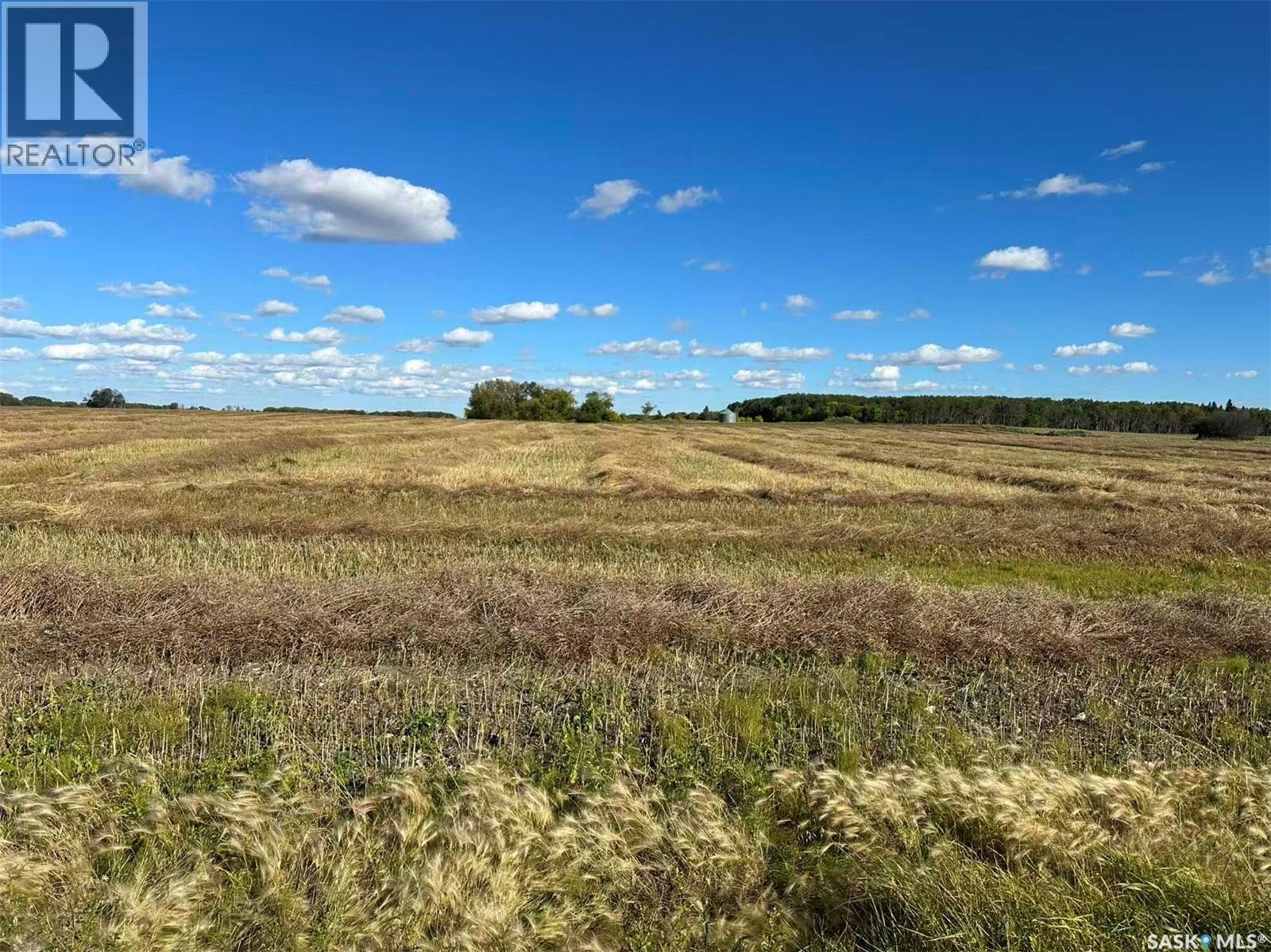 Preeceville 320 Acres Grain Farmland, Preeceville Rm No. 334, Saskatchewan  S0A 3B0 - Photo 6 - SK034657