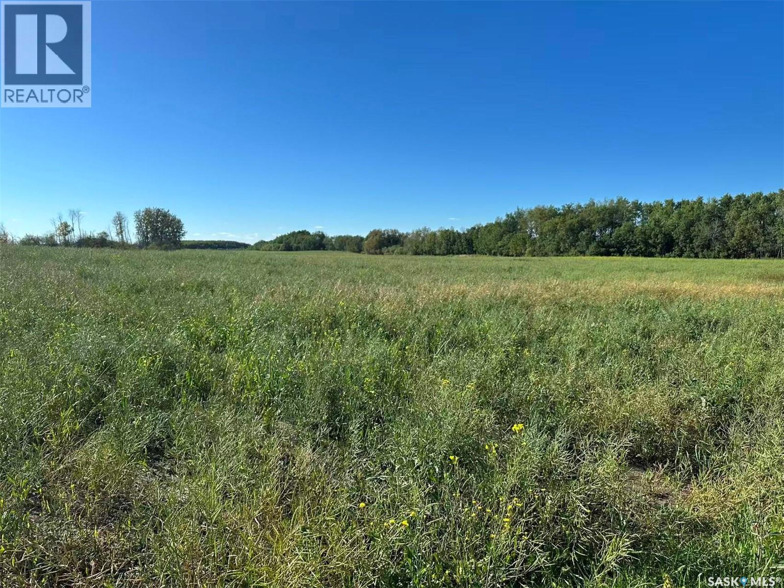 Preeceville 320 Acres Grain Farmland, Preeceville Rm No. 334, Saskatchewan  S0A 3B0 - Photo 18 - SK034657