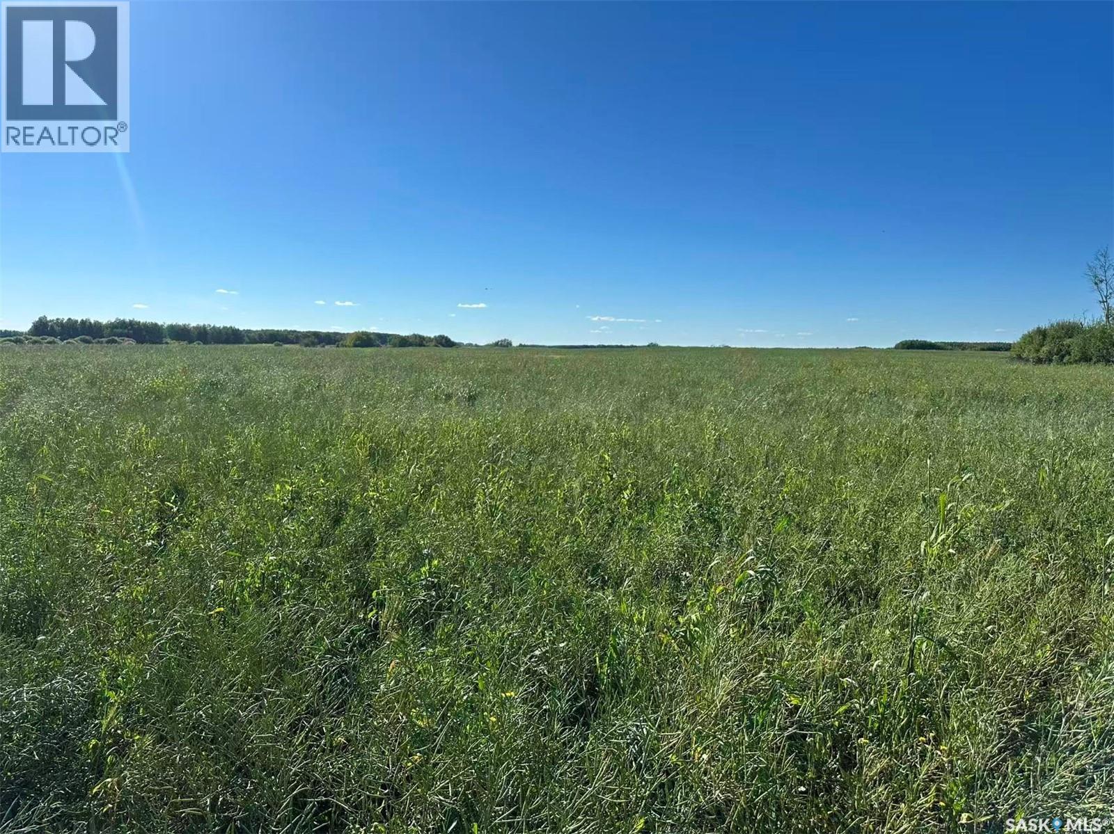 Preeceville 320 Acres Grain Farmland, Preeceville Rm No. 334, Saskatchewan  S0A 3B0 - Photo 17 - SK034657