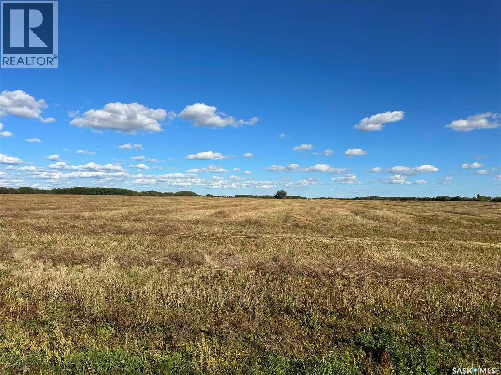 Preeceville 320 Acres Grain Farmland, Preeceville Rm No. 334, Saskatchewan  S0A 3B0 - Photo 12 - SK034657