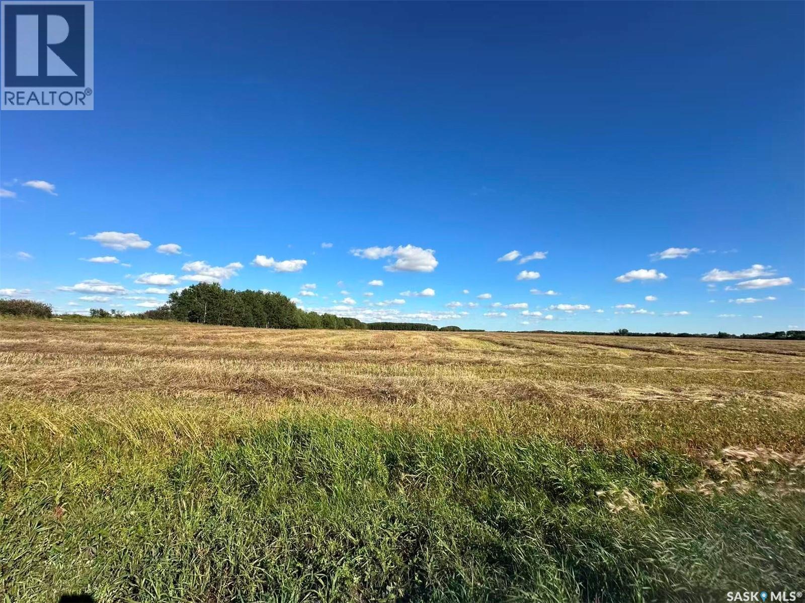 Preeceville 320 Acres Grain Farmland, Preeceville Rm No. 334, Saskatchewan  S0A 3B0 - Photo 8 - SK034657