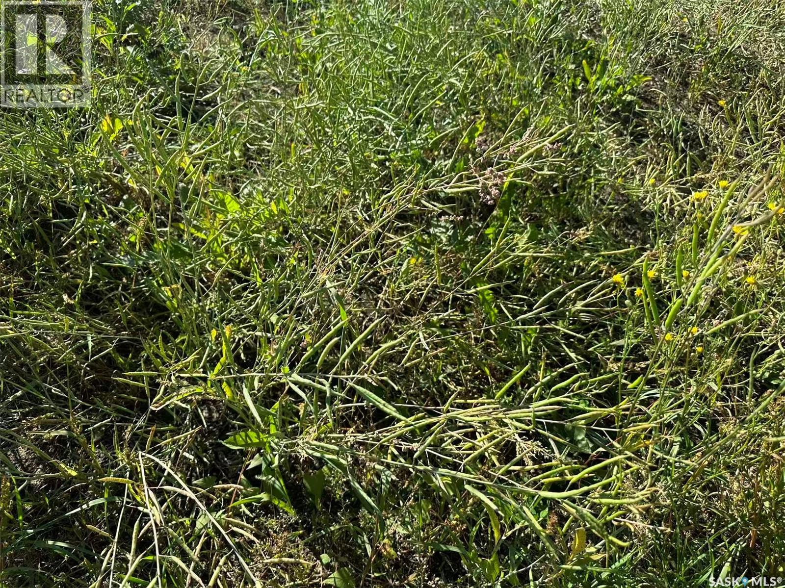Preeceville 320 Acres Grain Farmland, Preeceville Rm No. 334, Saskatchewan  S0A 3B0 - Photo 15 - SK034657