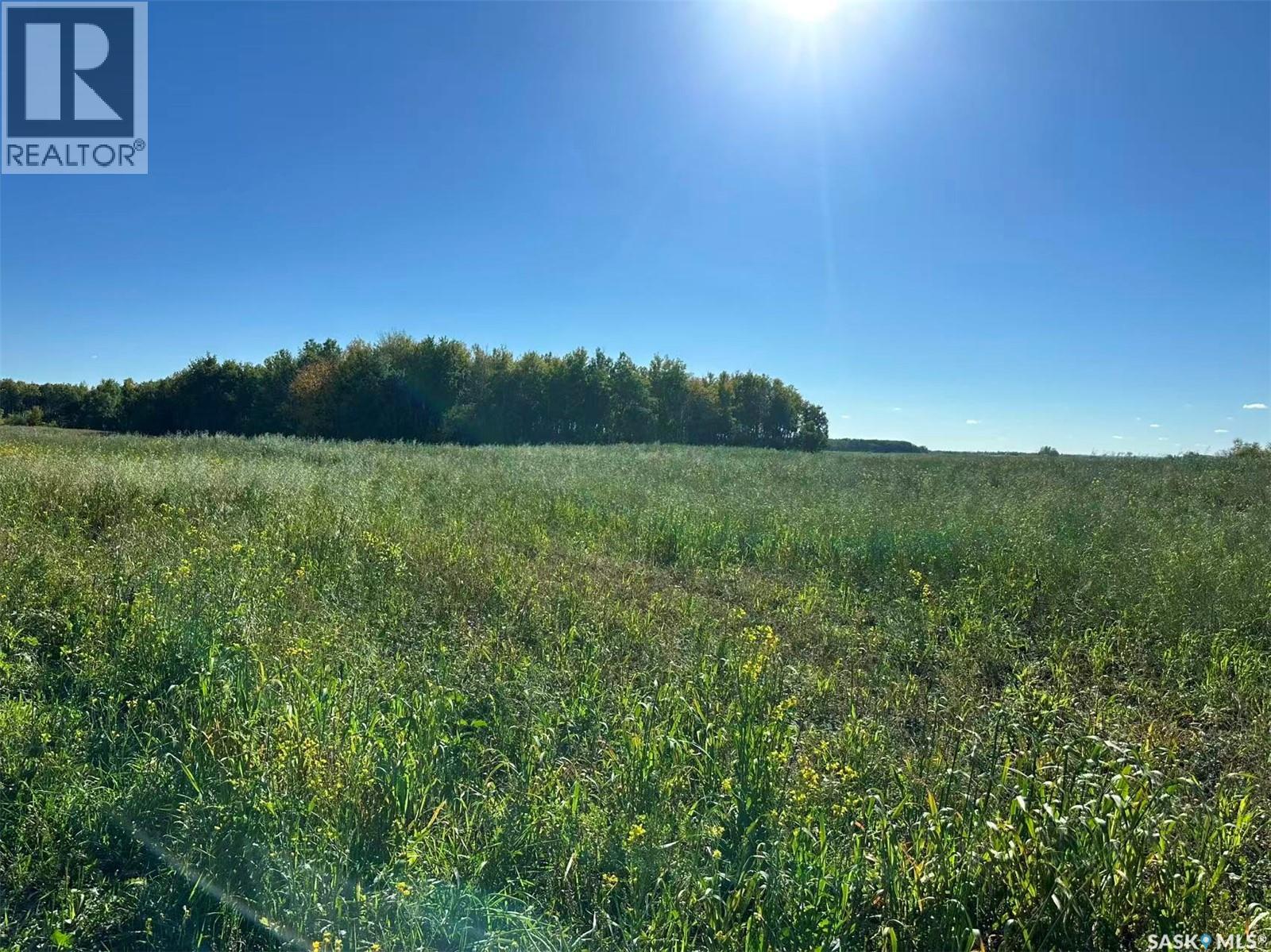 Preeceville 320 Acres Grain Farmland, Preeceville Rm No. 334, Saskatchewan  S0A 3B0 - Photo 20 - SK034657