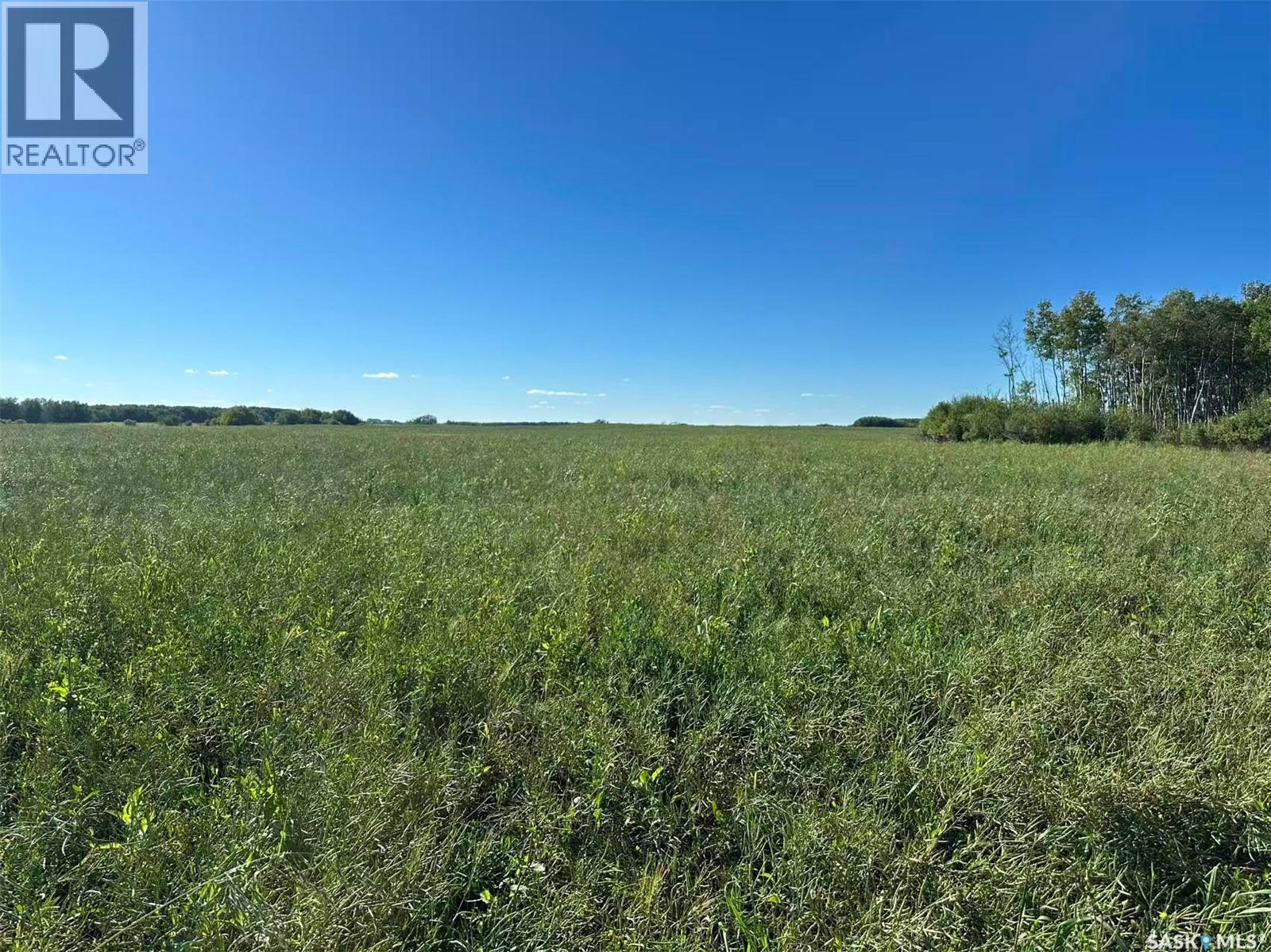 Preeceville 320 Acres Grain Farmland, Preeceville Rm No. 334, Saskatchewan  S0A 3B0 - Photo 21 - SK034657