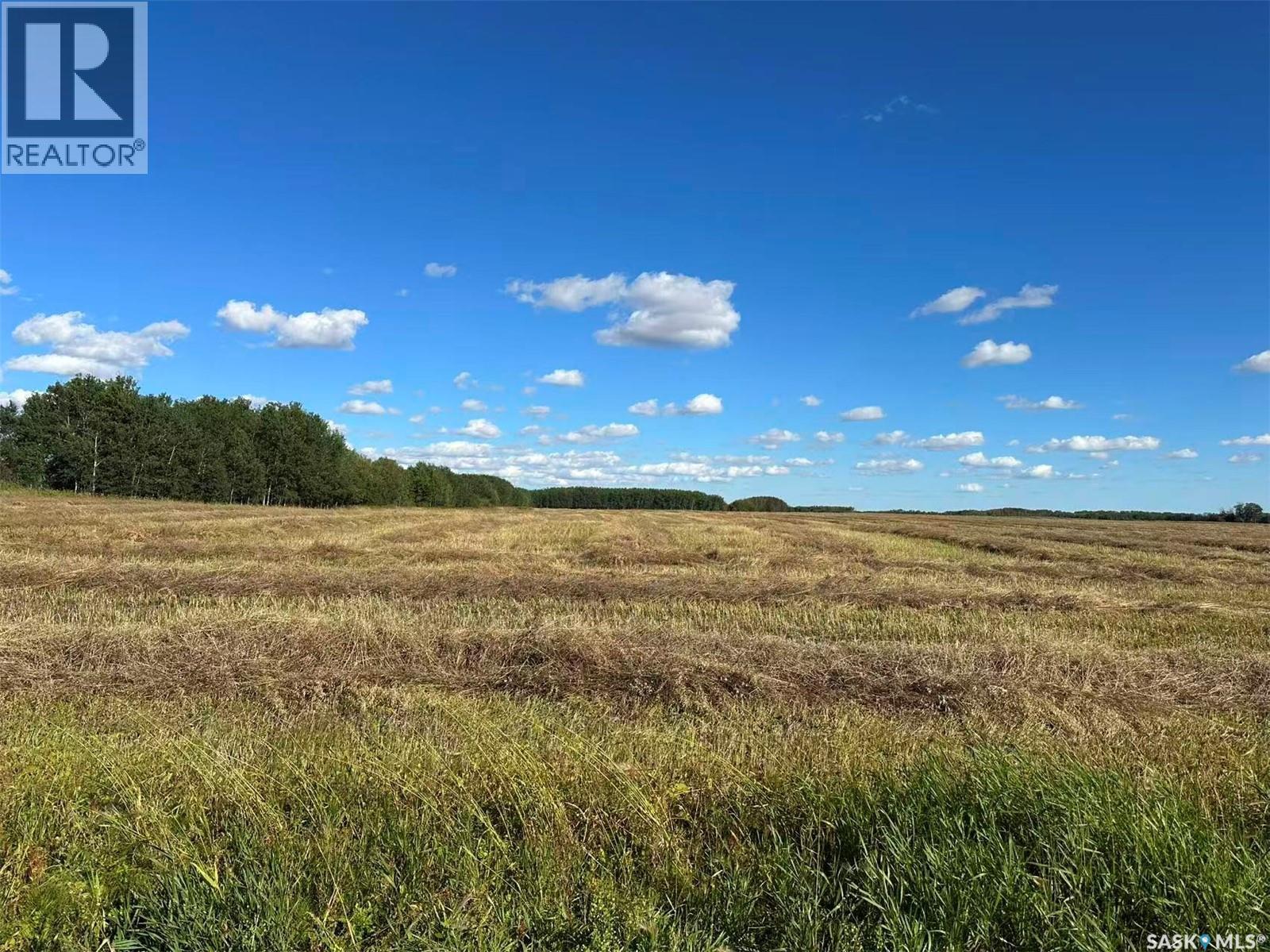 Preeceville 320 Acres Grain Farmland, Preeceville Rm No. 334, Saskatchewan  S0A 3B0 - Photo 7 - SK034657