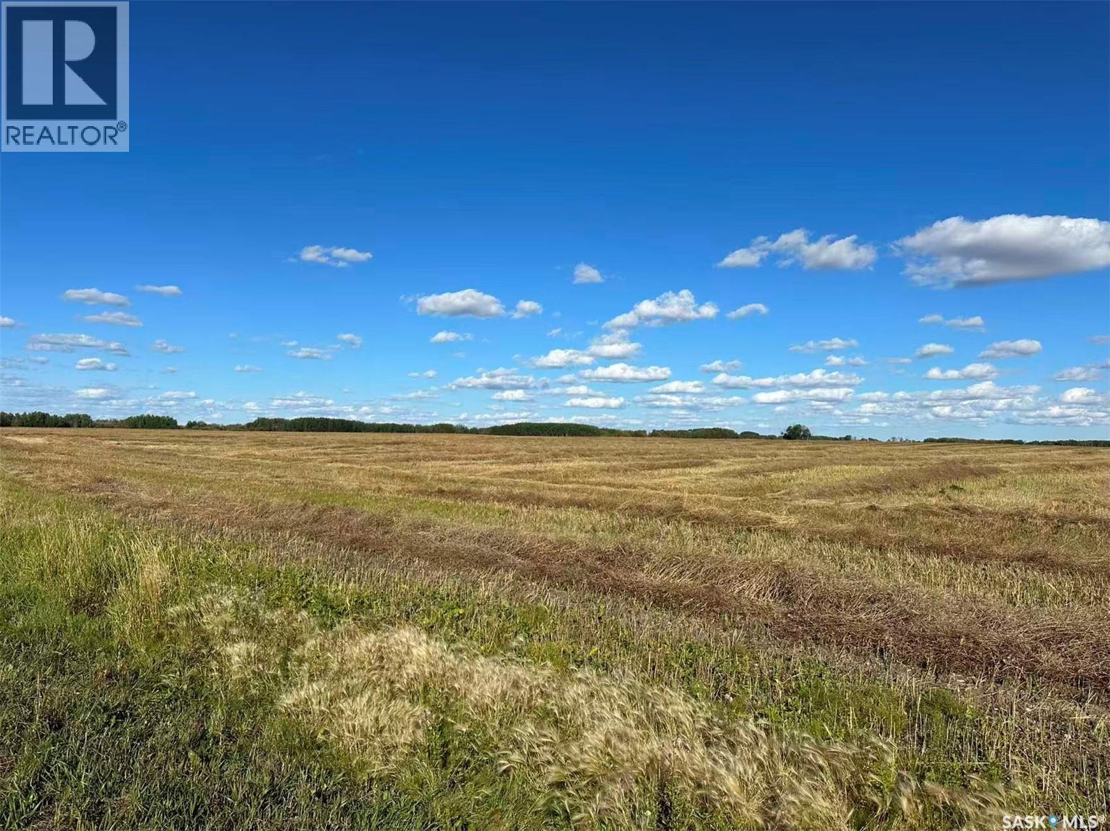 Preeceville 320 Acres Grain Farmland, Preeceville Rm No. 334, Saskatchewan  S0A 3B0 - Photo 9 - SK034657