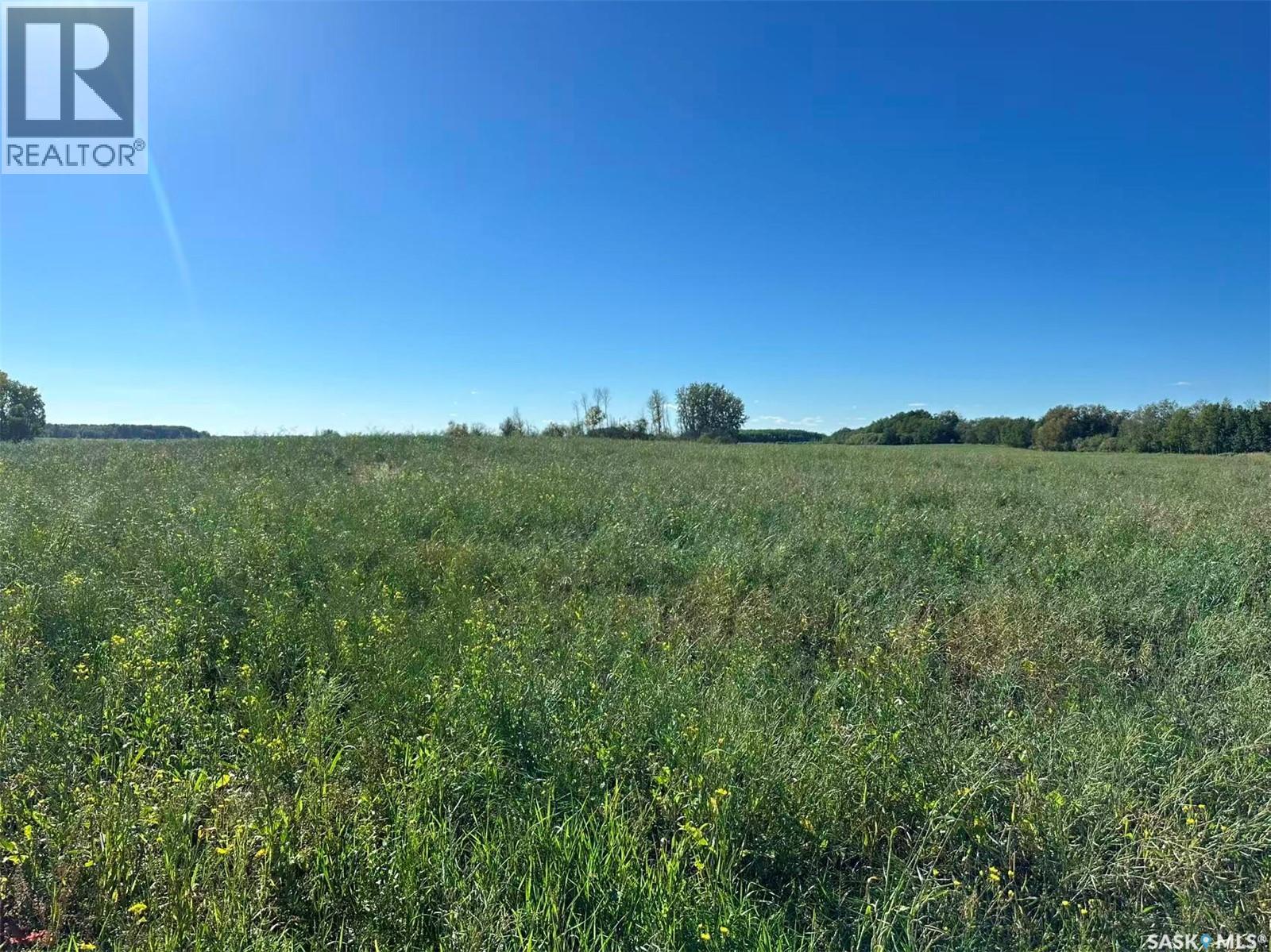 Preeceville 320 Acres Grain Farmland, Preeceville Rm No. 334, Saskatchewan  S0A 3B0 - Photo 14 - SK034657