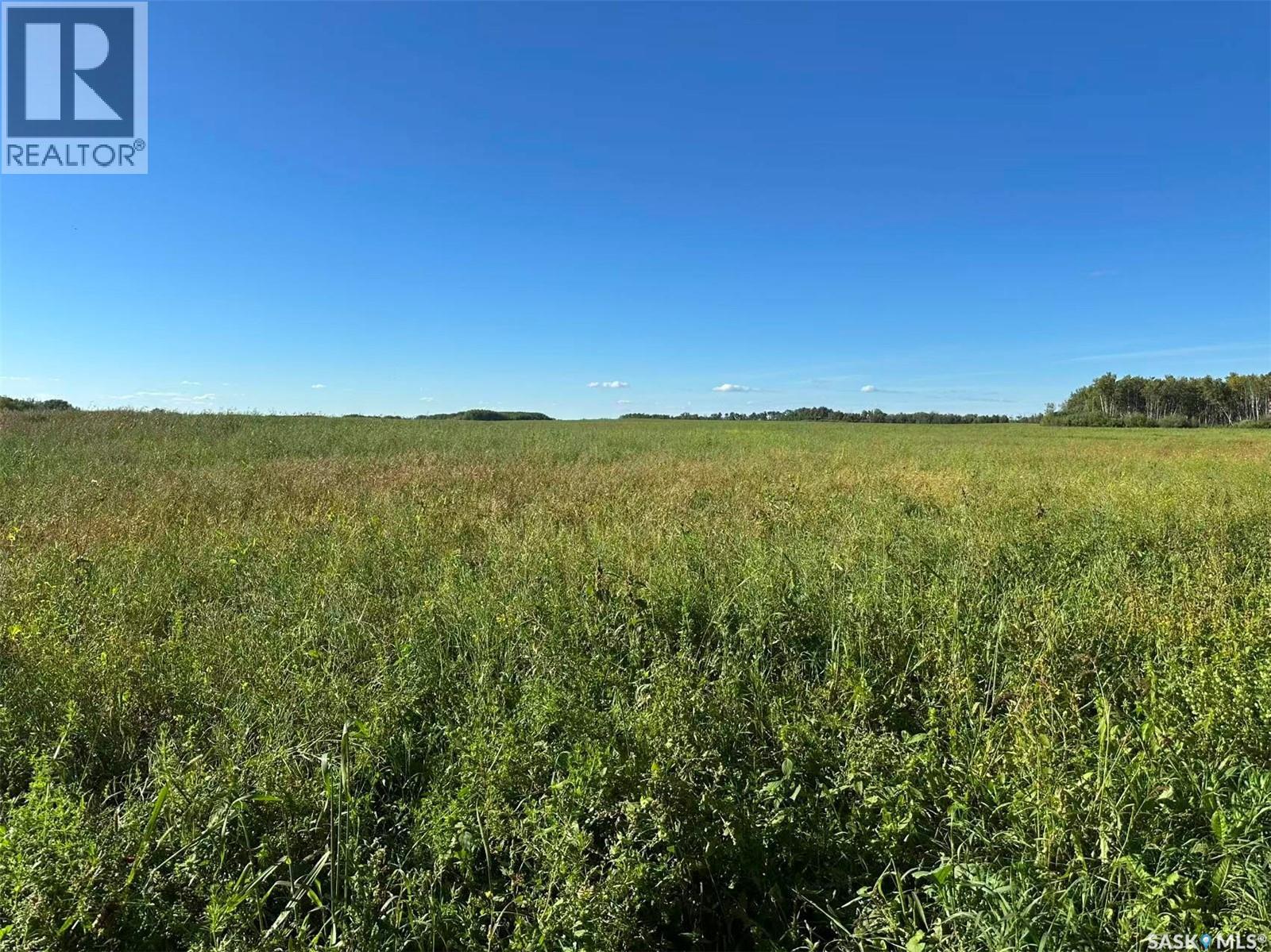 Preeceville 320 Acres Grain Farmland, Preeceville Rm No. 334, Saskatchewan  S0A 3B0 - Photo 26 - SK034657