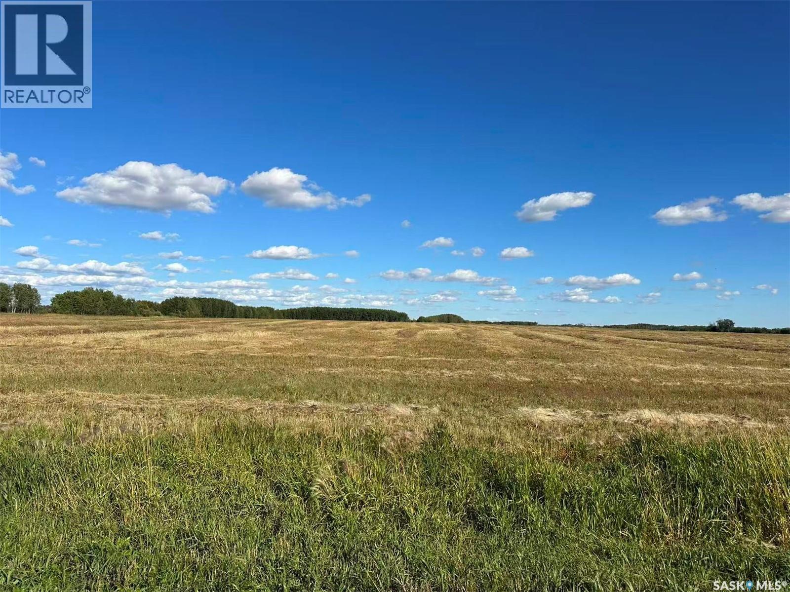 Preeceville 320 Acres Grain Farmland, Preeceville Rm No. 334, Saskatchewan  S0A 3B0 - Photo 10 - SK034657