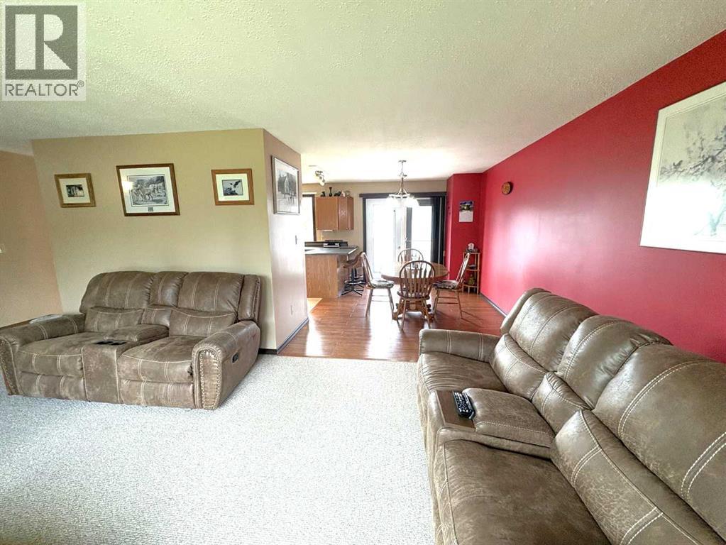 5402 47 Avenue W, Forestburg, Alberta  T0B 1N0 - Photo 17 - A2346055