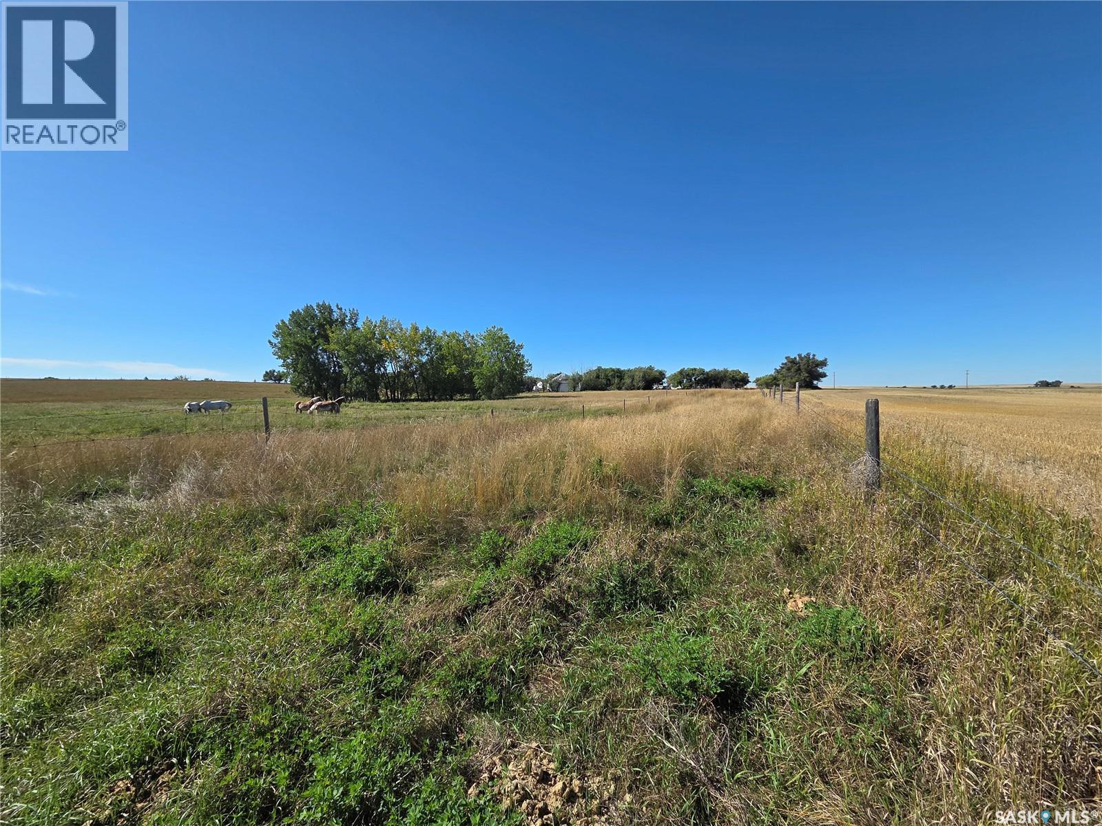 Steinkey Acreage, Happyland Rm No. 231, Saskatchewan  S0N 1H0 - Photo 73 - SK048813