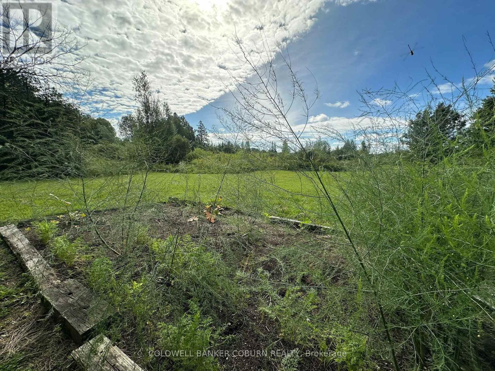 1904 Pittston Road, Edwardsburgh/cardinal, Ontario  K0E 1X0 - Photo 15 - X13767098
