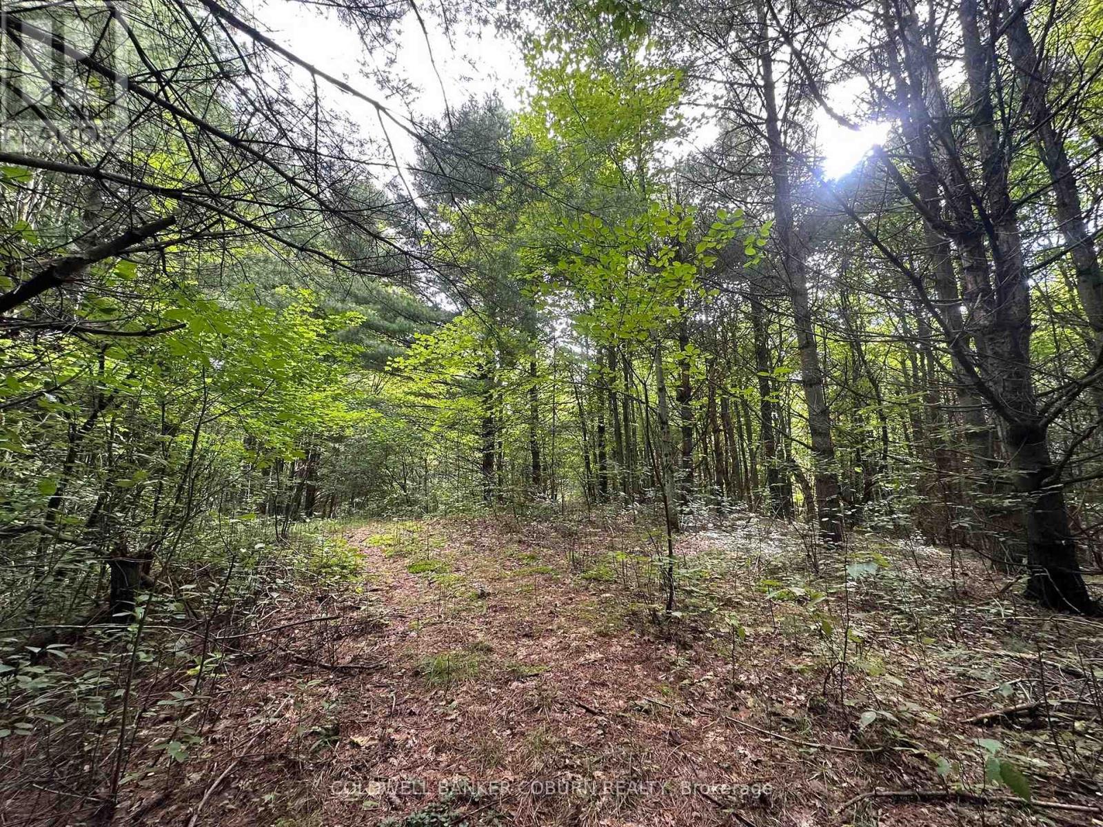 1904 Pittston Road, Edwardsburgh/cardinal, Ontario  K0E 1X0 - Photo 24 - X13767098