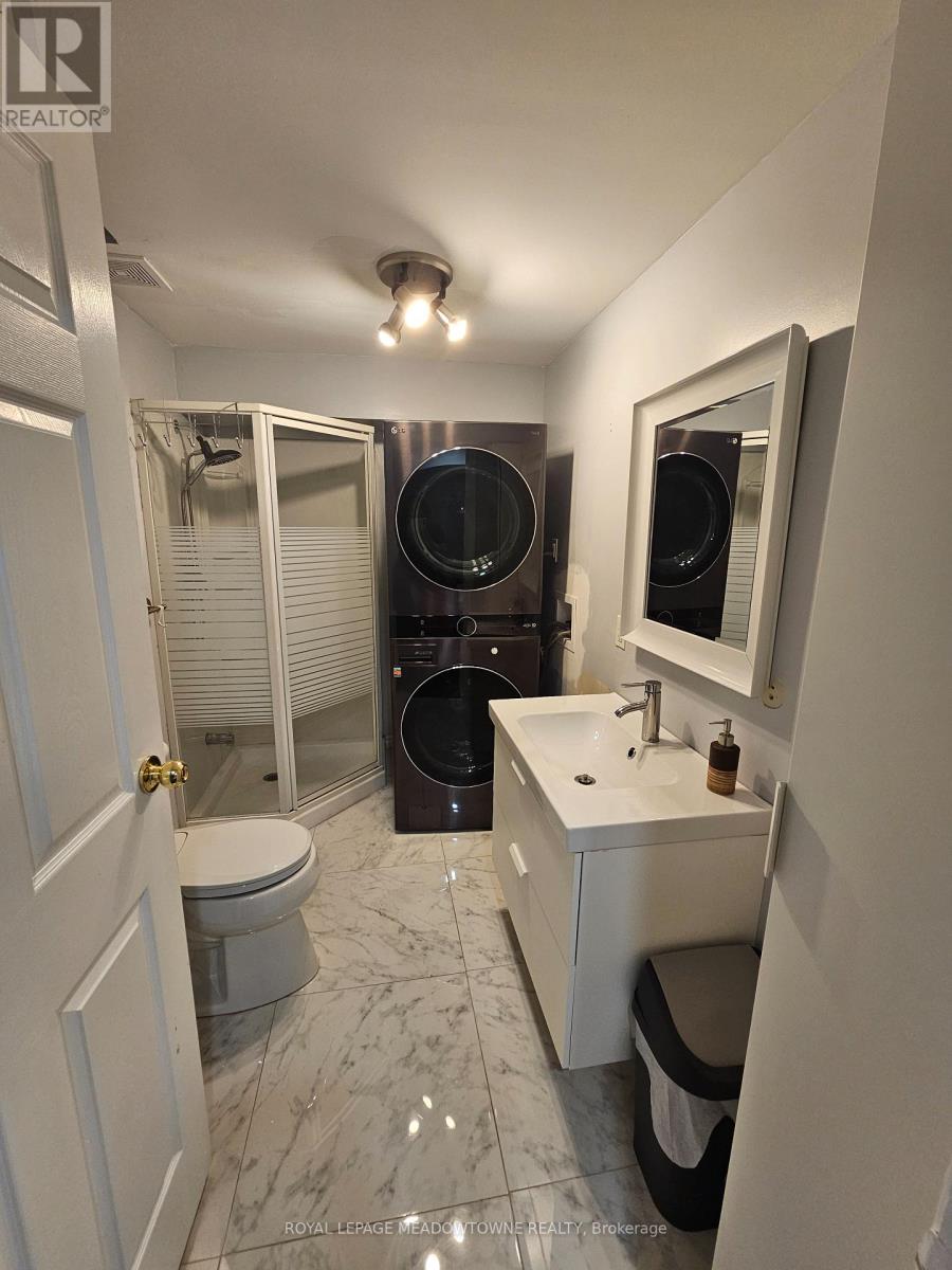 250 Pettigrew Trail, Milton, Ontario  L9T 5X7 - Photo 19 - W13804148