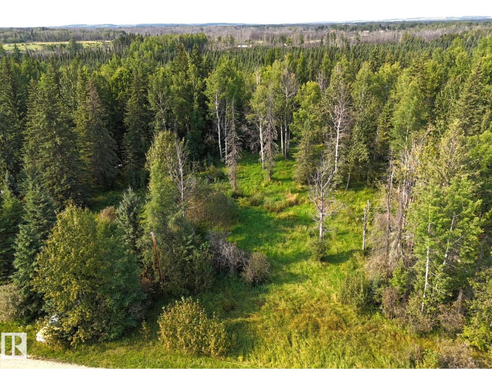 36 9002 Hwy 16, Rural Yellowhead, Alberta  T0E 2M0 - Photo 10 - E4509514