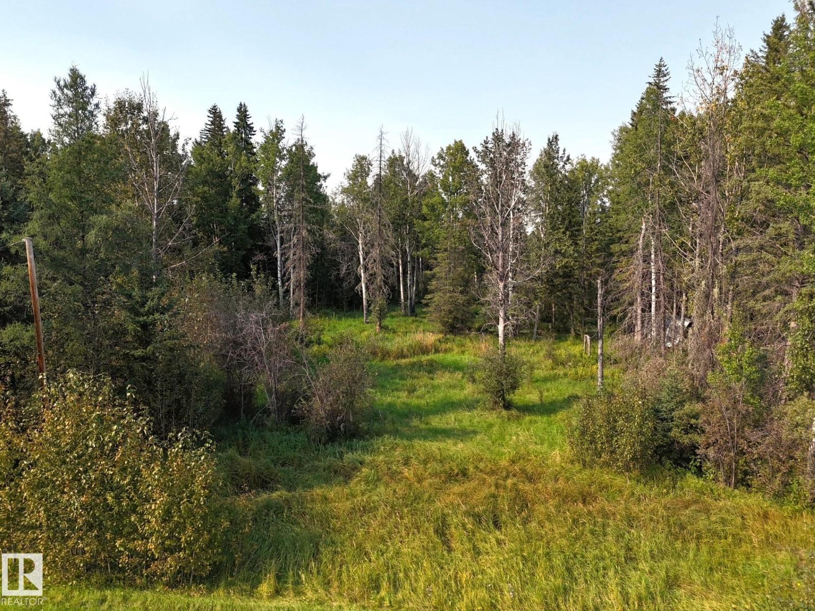 36 9002 Hwy 16, Rural Yellowhead, Alberta  T0E 2M0 - Photo 11 - E4509514