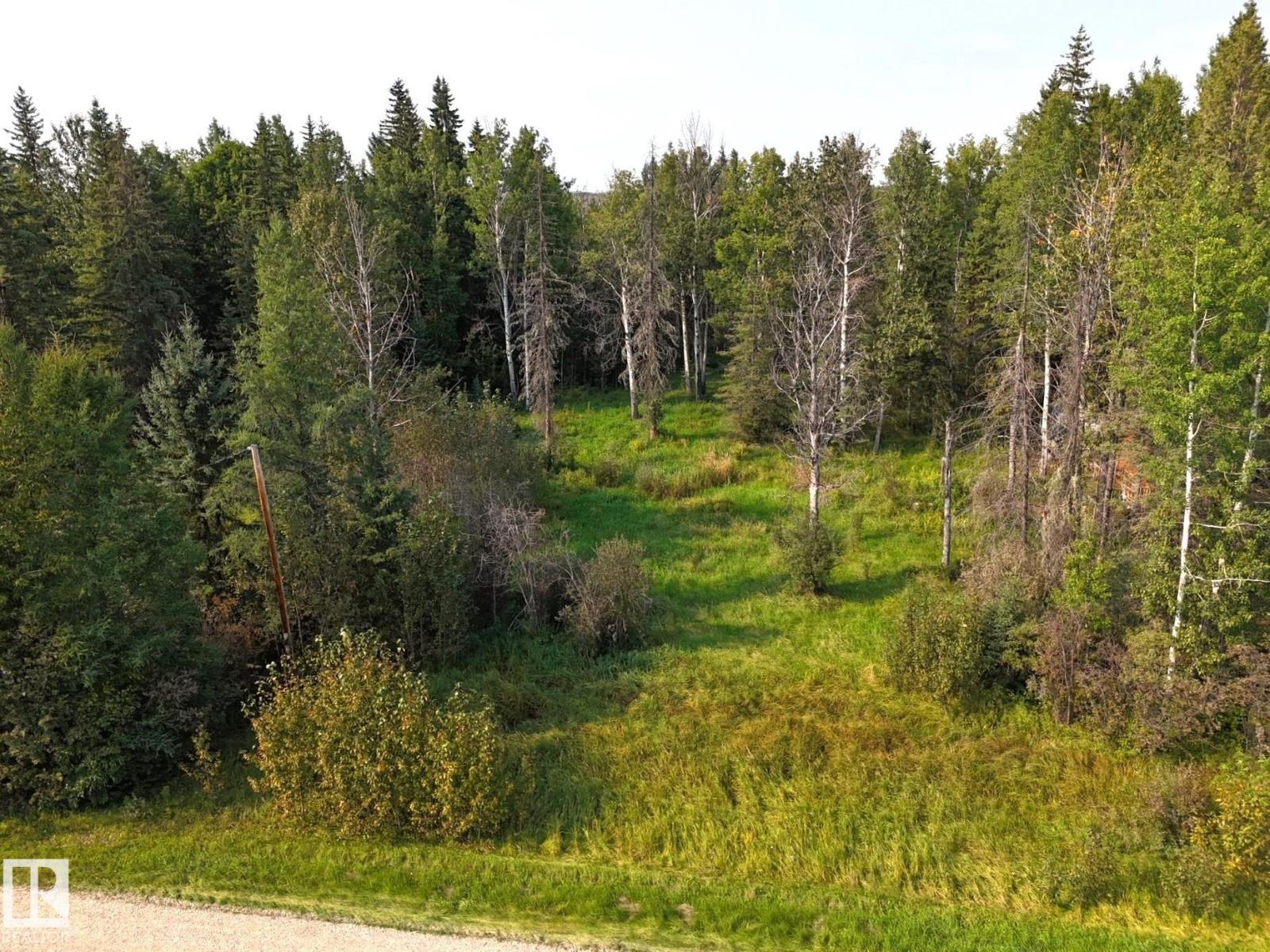 36 9002 Hwy 16, Rural Yellowhead, Alberta  T0E 2M0 - Photo 12 - E4509514