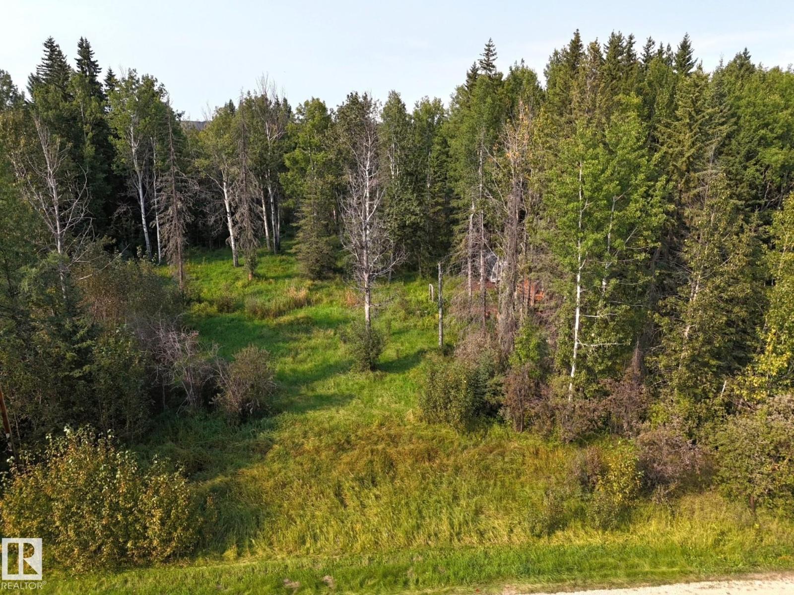 36 9002 Hwy 16, Rural Yellowhead, Alberta  T0E 2M0 - Photo 13 - E4509514