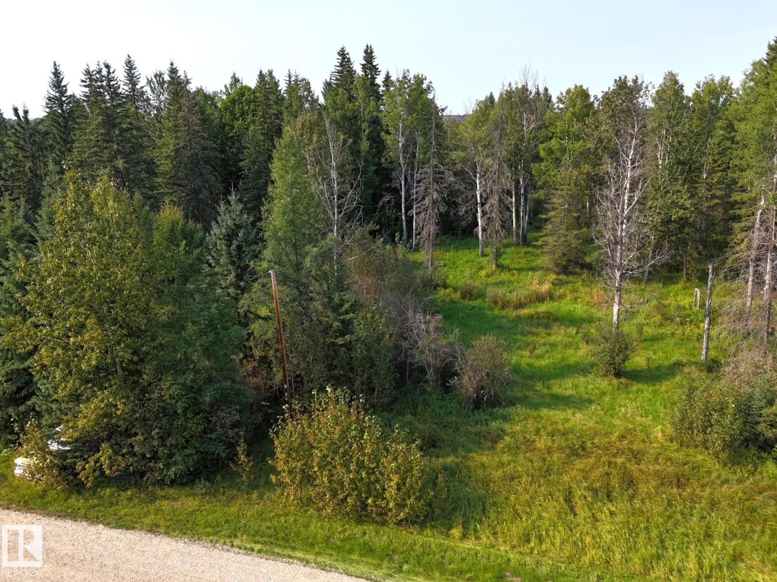 36 9002 Hwy 16, Rural Yellowhead, Alberta  T0E 2M0 - Photo 14 - E4509514