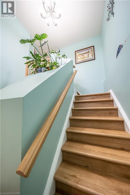 237 Grey Fox Drive, Kitchener, Ontario  N2E 3N7 - Photo 15 - 40864798