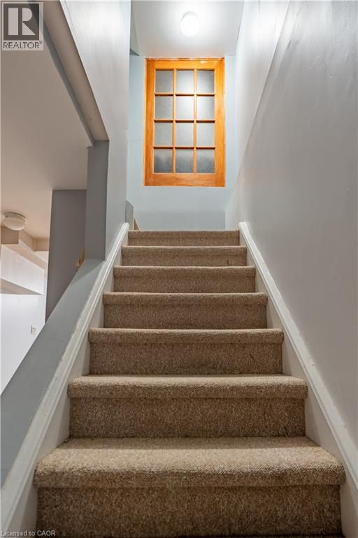 237 Grey Fox Drive, Kitchener, Ontario  N2E 3N7 - Photo 11 - 40864798
