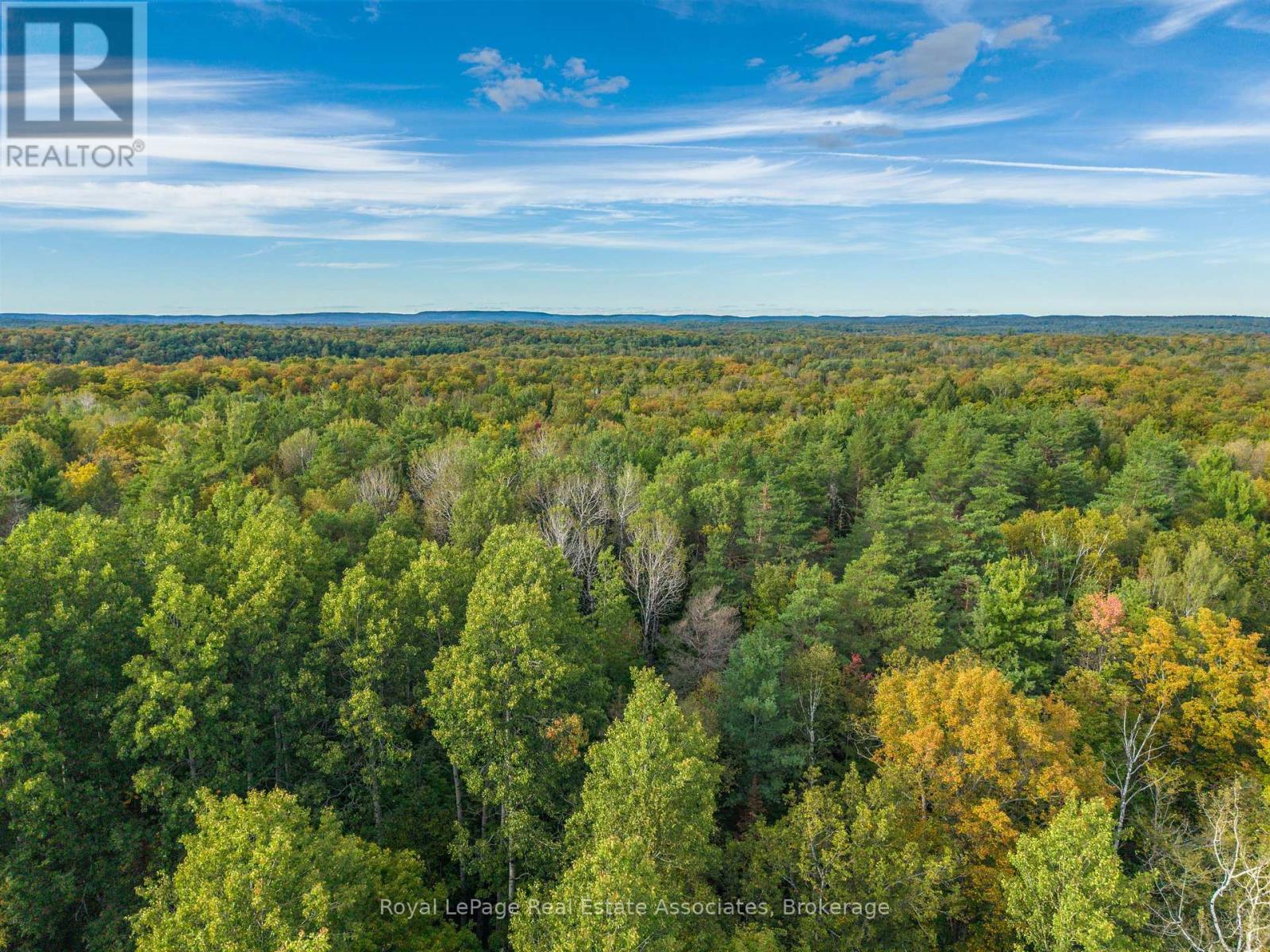 225 White Church Road, Faraday, Ontario  K0L 1P0 - Photo 18 - X13805402