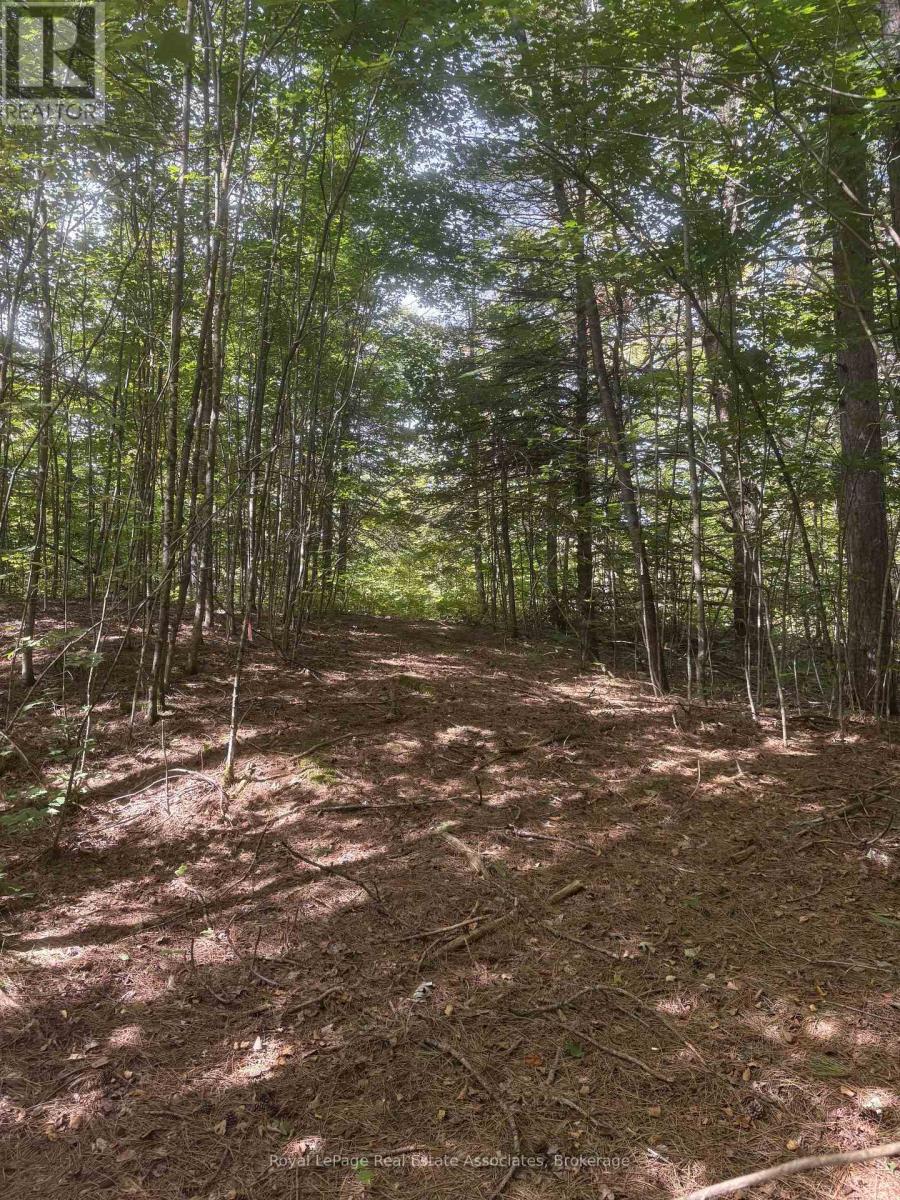 225 White Church Road, Faraday, Ontario  K0L 1P0 - Photo 21 - X13805402