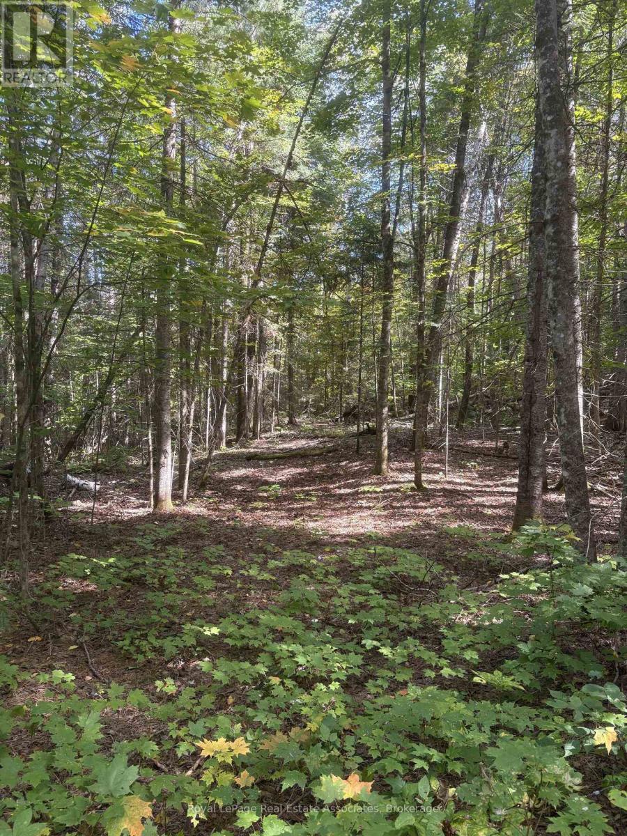 225 White Church Road, Faraday, Ontario  K0L 1P0 - Photo 22 - X13805402