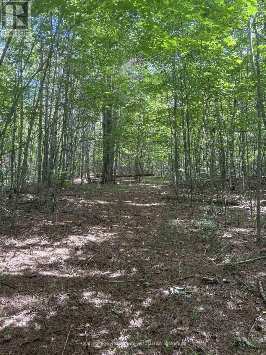 225 White Church Road, Faraday, Ontario  K0L 1P0 - Photo 24 - X13805402
