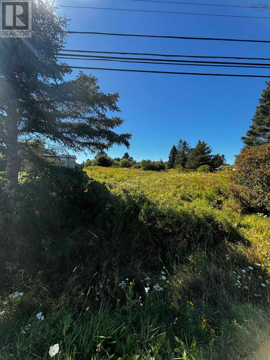 Lot 3 No 207 Highway, Grand Desert, Nova Scotia  B0J 2L0 - Photo 3 - 202623850