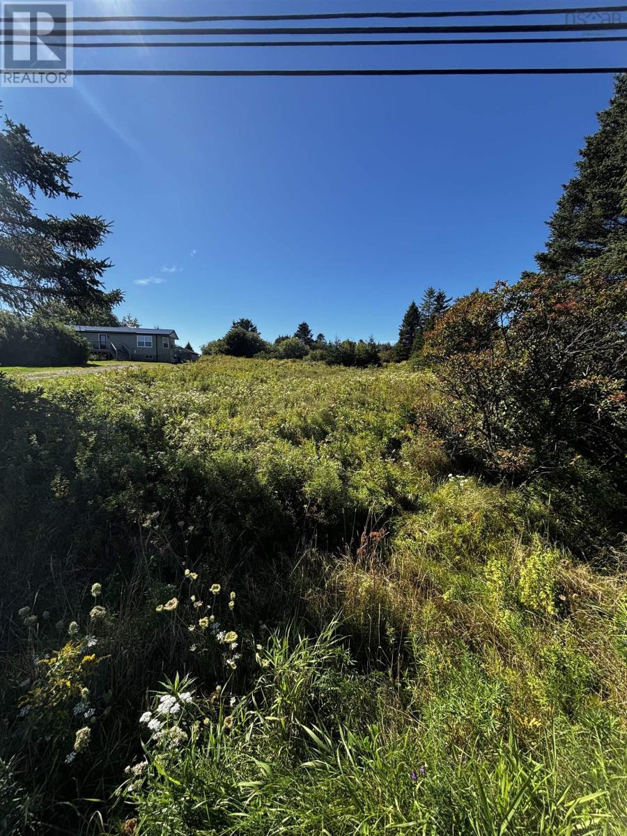 Lot 3 No 207 Highway, Grand Desert, Nova Scotia  B0J 2L0 - Photo 4 - 202623850