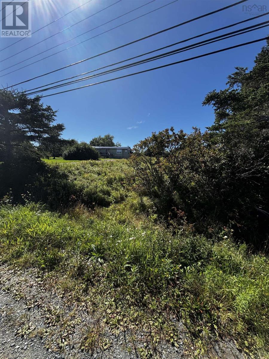 Lot 3 No 207 Highway, Grand Desert, Nova Scotia  B0J 2L0 - Photo 5 - 202623850